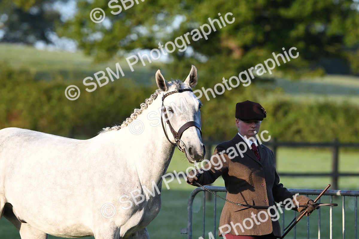 SBM_32411 - S15 - Condition & Turnout In Hand