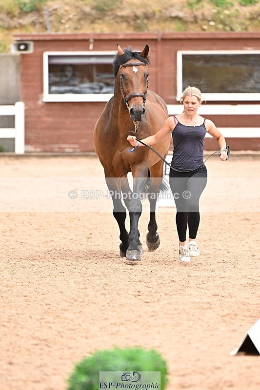 250716-144941-01436 - Trot Up 2.30 to 3.30