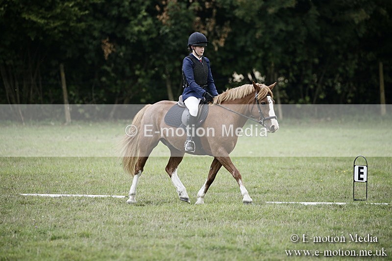 BVR090918 245 - BVRC Dressage and Show Jumping 09/09/18