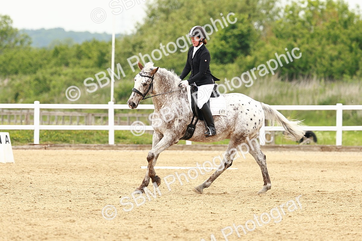 SBM_001272 - Class 7 - Novice 5