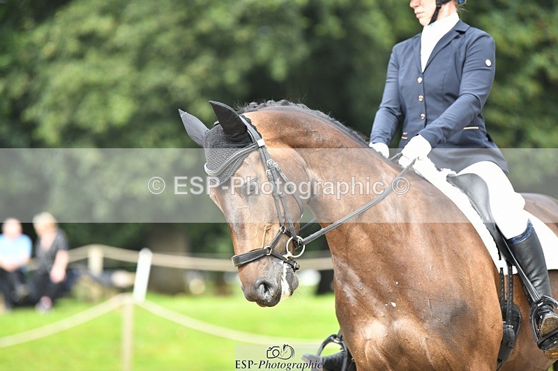 230812-104652-03469 - Cls 6 Novice Silver 10.30 to 11.55 break