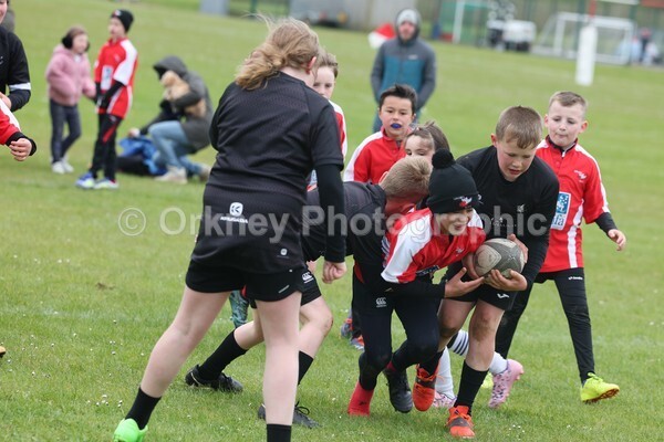 DAD22389 - Rookies/Mini Rugby on 7s Day