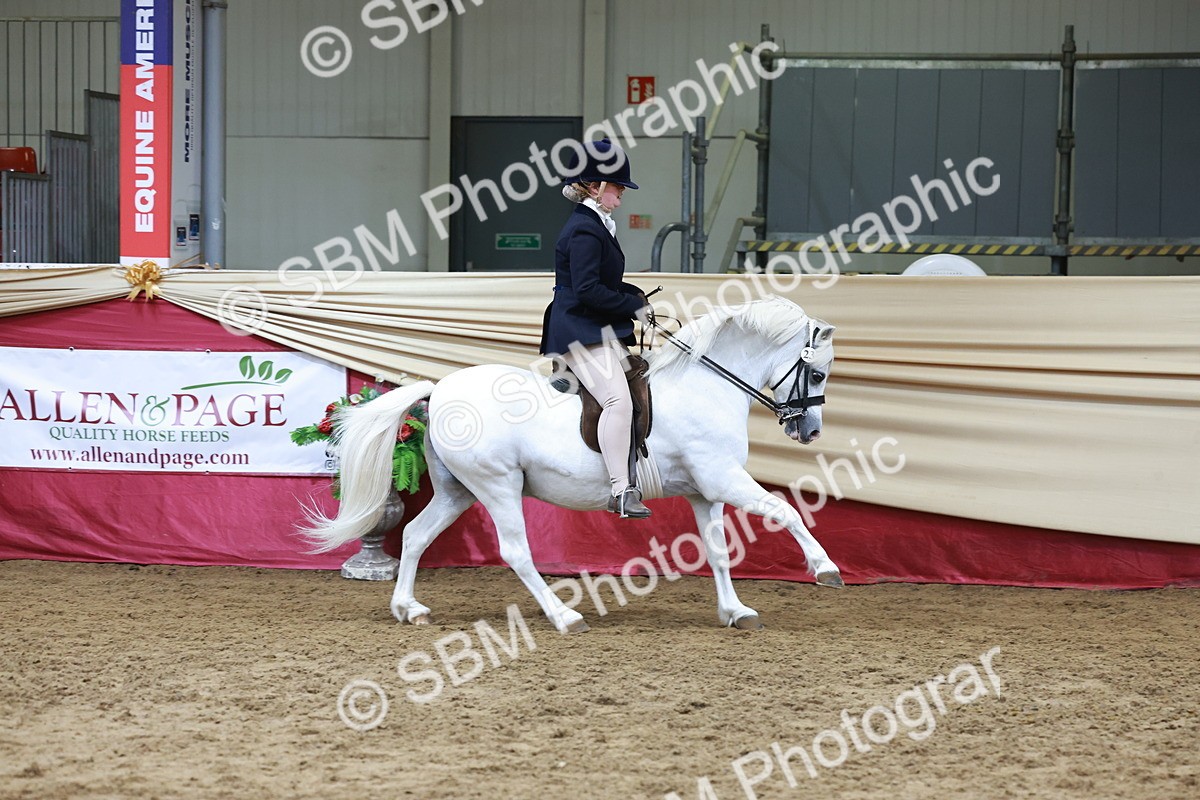 SBM_18562 - Class 952 - M&M Ridden Supreme Final