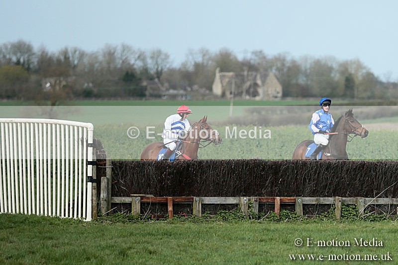 PtP 230319 313 - VWH Hunt Siddington Point-to-Point Racing 23/03/19