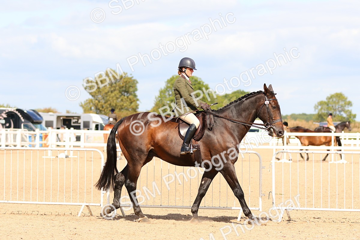 SBM_13437 - Class 212 - Ridden Hunter  - Large