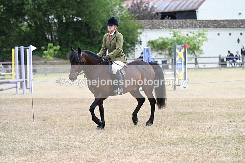 WJ7_0307 - Class 6 Ridden Mountain and Moorland