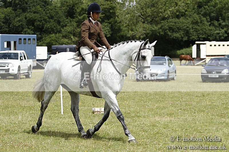 BVR160717-1832 - Ring 3 BVRC Show 16/07/17