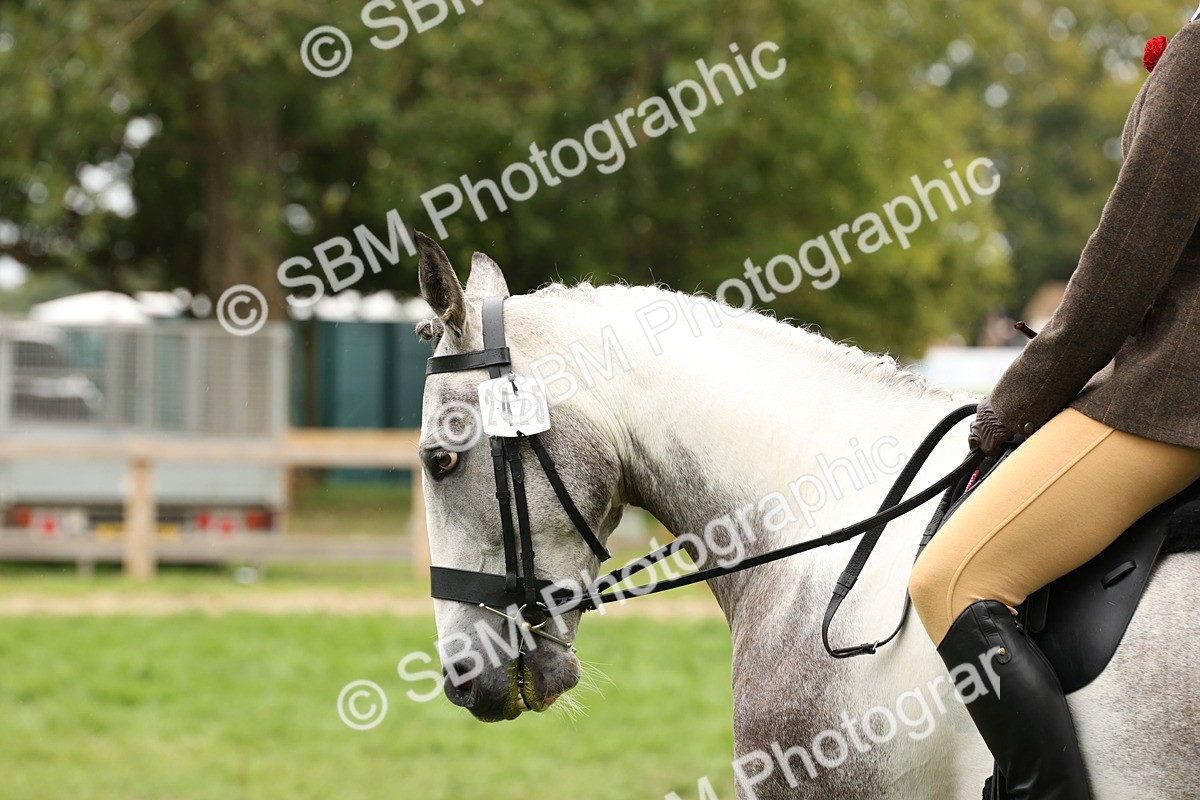 SBM_69897 - S68 - Other Coloured Horse Ridden