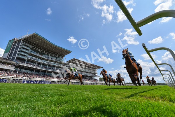 140625-Race 2-My Dream World-4590 - Race 2 2.25pm Queen Mother's Cup Handicap