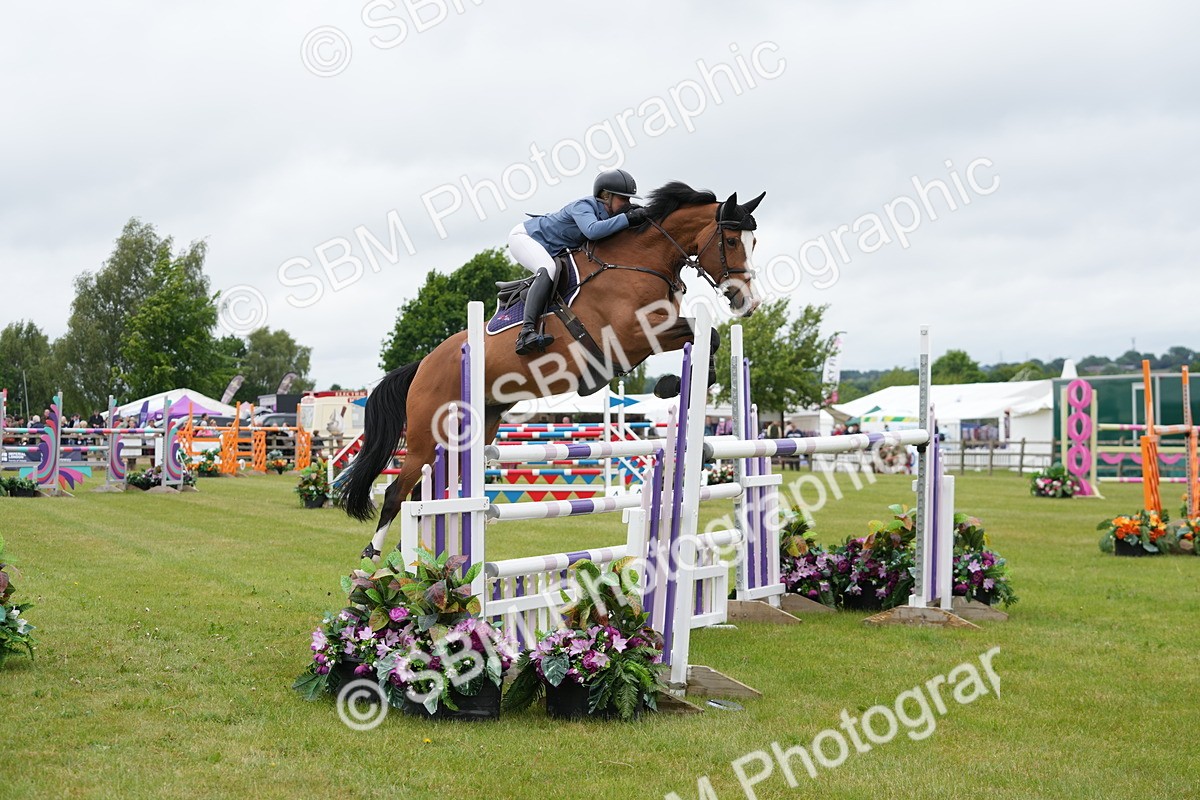 SBM_03348 - Class 201 - British Horse Feeds Speedi Beet Horse of the Year Show Grade  C