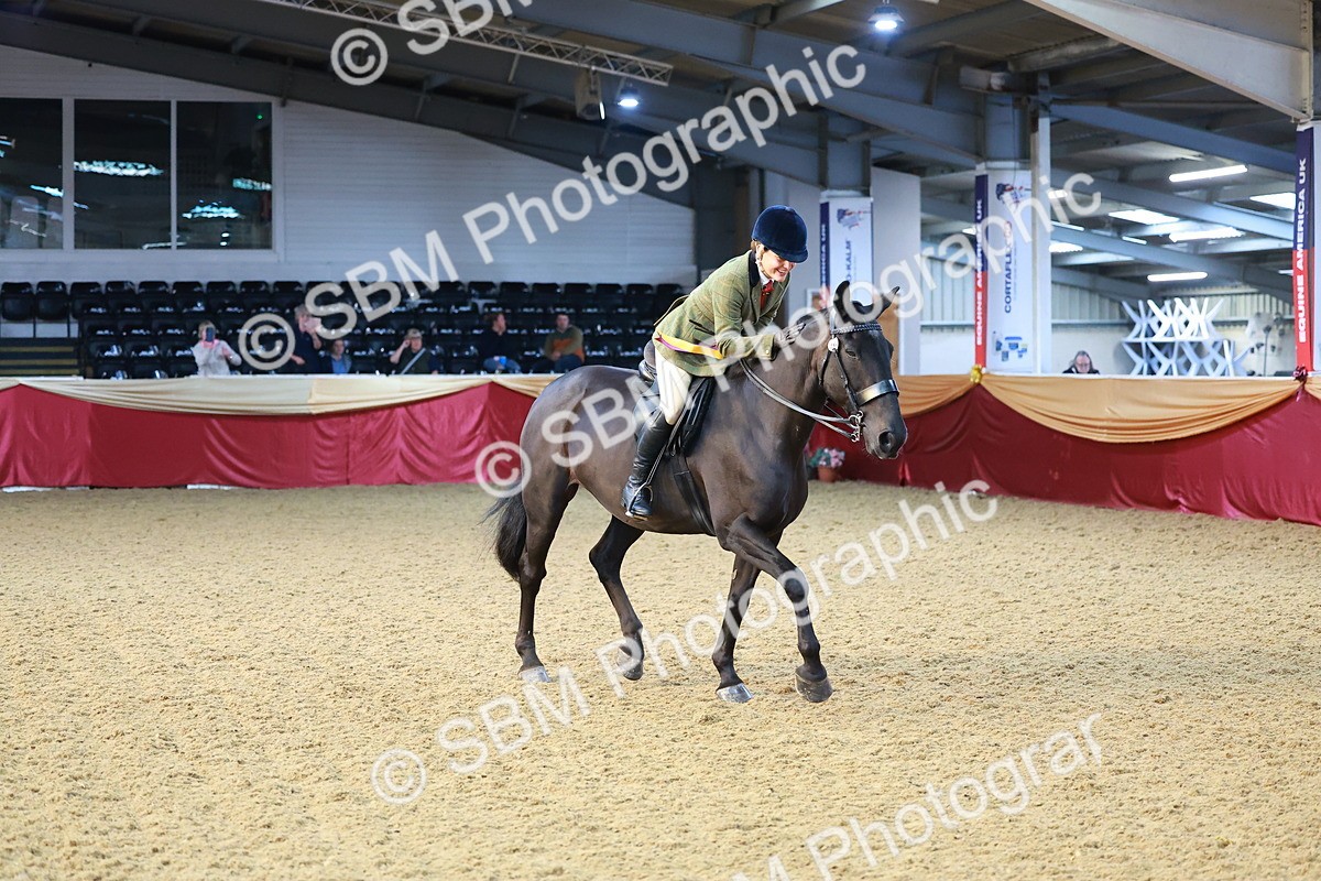 SBM_07768 - Class 101 - HOYS Veteran Qualifier - Ridden Diamond