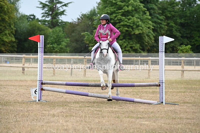 WJ6_0093 - Class 13 Novice Jumping 60cm