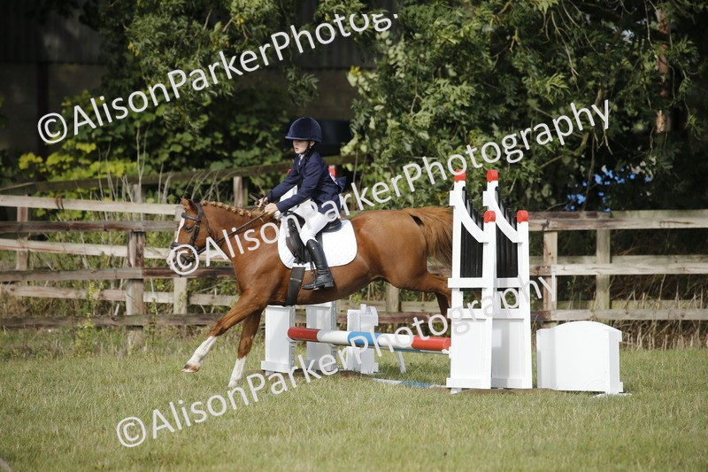 20250831-0117 - Class 1 - 50cm