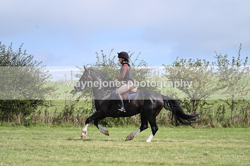 WJ7_6198 - Time 11:29 to 11:45