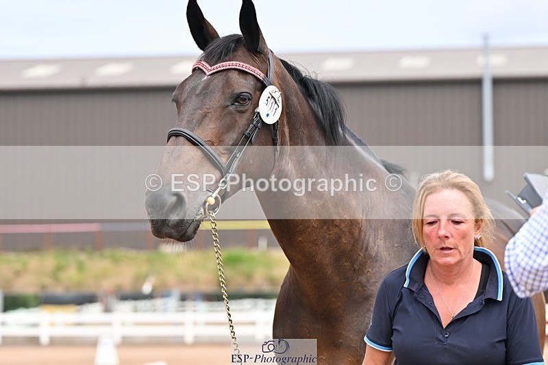 250716-153800-02067 - Trot Up 3.30 to 4.30