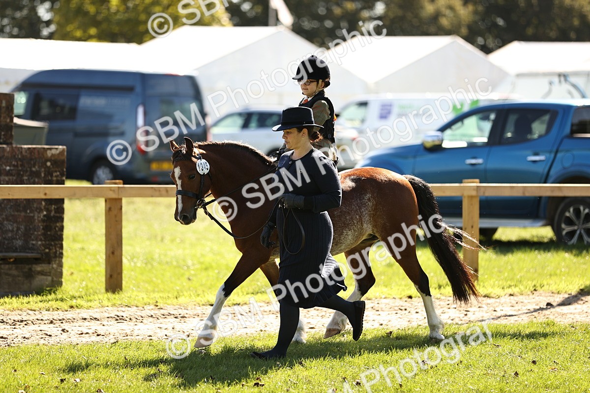 SBM_19278 - S3 - TSR Ridden Pony Showing