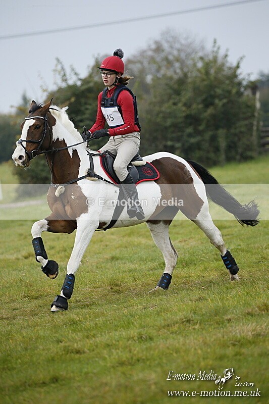 WWHT 181020 WWHT 181020 632 - WWEC Open Novice (0.80m) 18/10/20