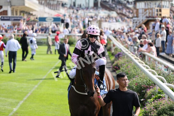 yr05092021r1-7 - Race 1 2.10pm IRE-Incentive It Pays To Buy Irish ebfstallions.com Novice Stakes