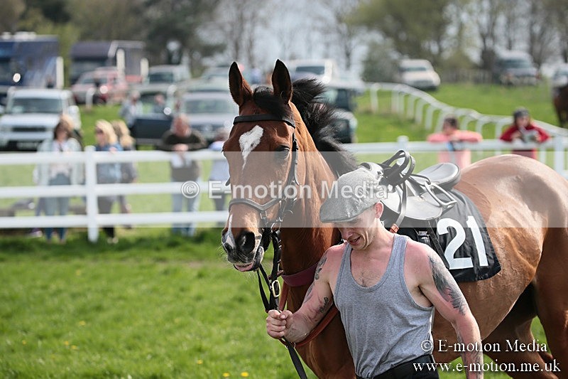 PtP 210418 298 - South & West Wilts Point-to-Point Larkhill 21/04/18