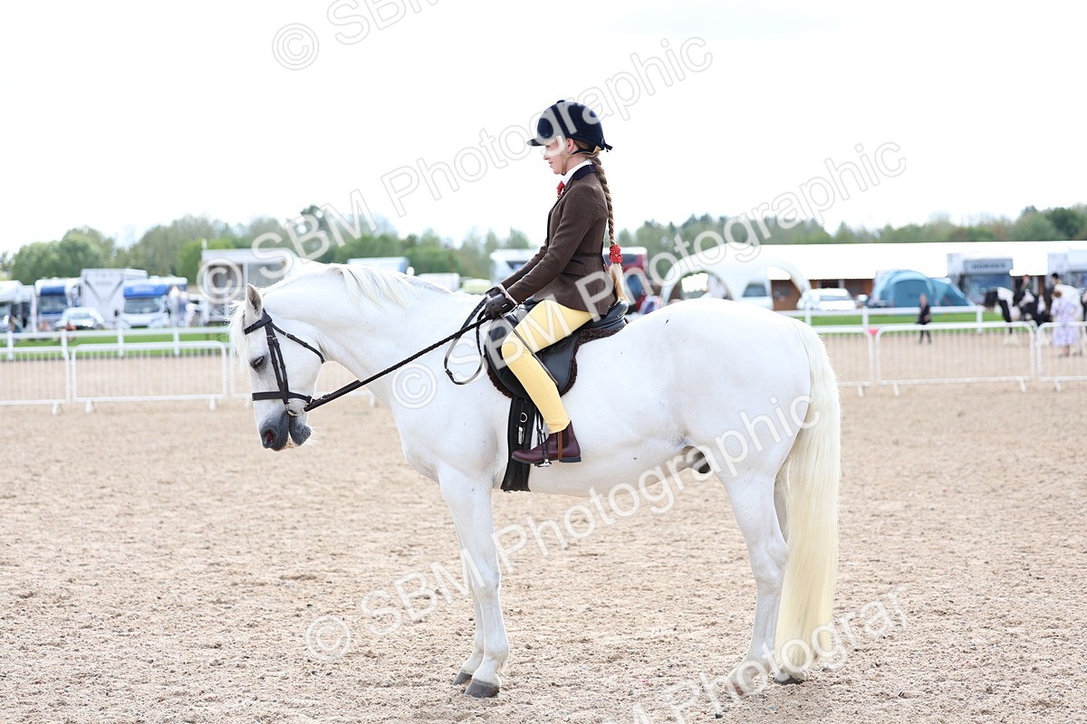 SBM_15812 - Class 314 - Family Horse - Pony