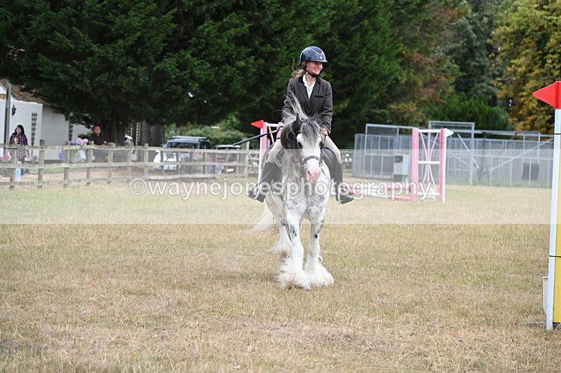 WJ6_9705 - Class 12 Minimus Jumping 45cm