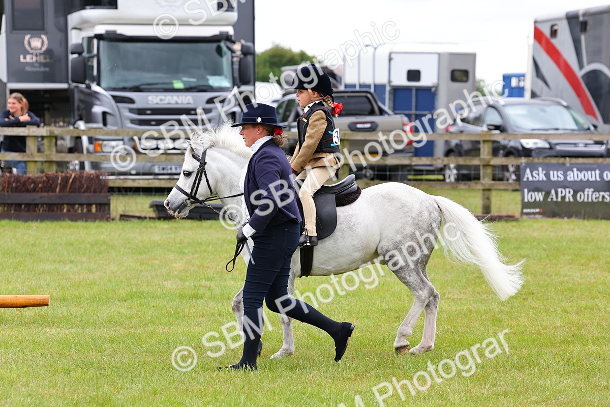 SBM_08127 - Class 42-43 - LIHS BSPS Heritage Working Sports Pony