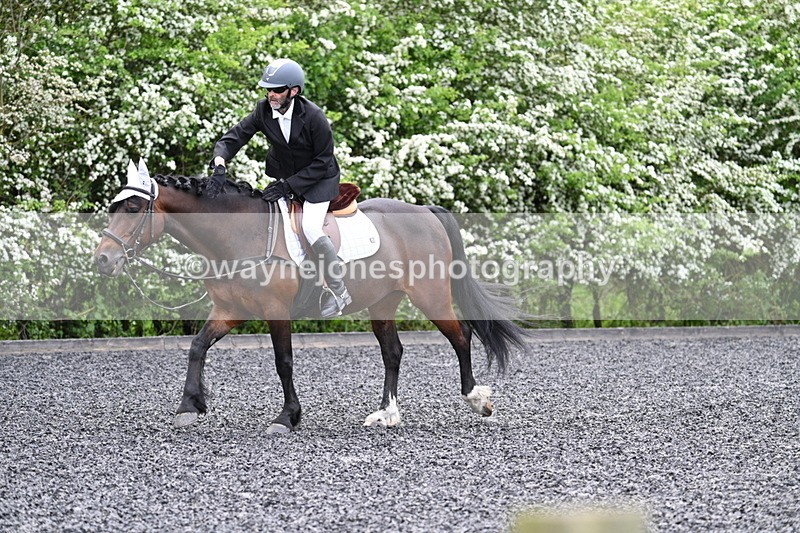 WJ7_8176 - Time 10:30 to 10:51