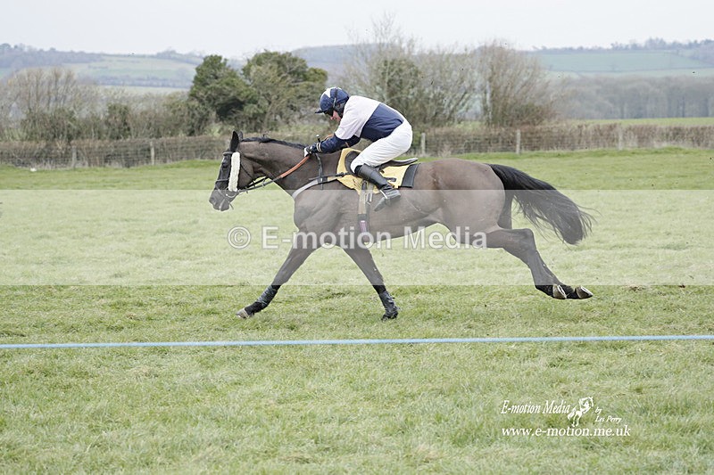 PtP 050323 491 - Blackmore & Sparkford Vale Hunt PtP - Somerset 05/03/23