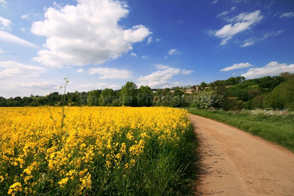 Bath  _BA059 - Bath landscape Photography