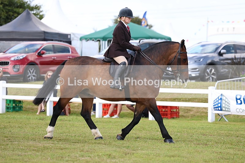 3E7A9677 - Class 5: Rising Star Lightweight/Heavyweight Cobs