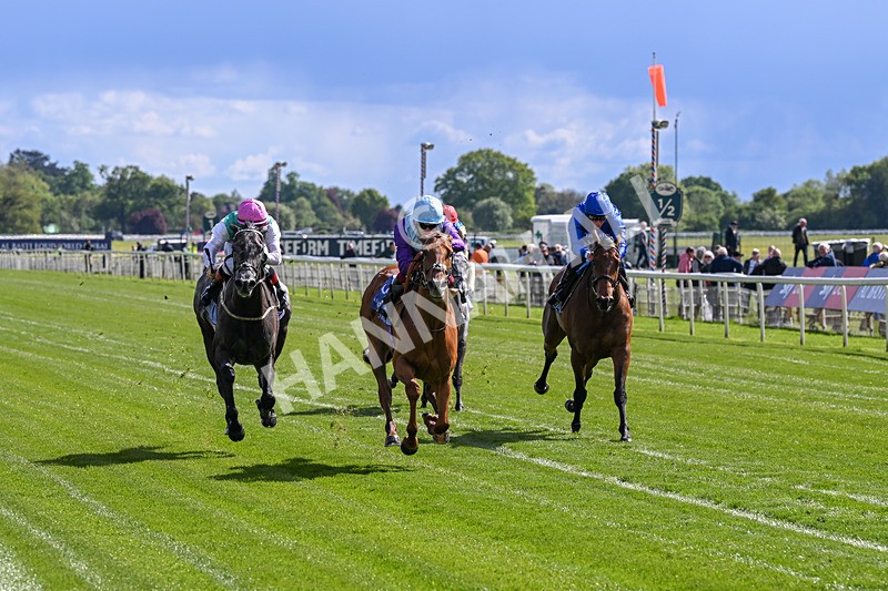 140526-Race 4-See The Fire-5152 - Race 4 3.30pm Al Basti Equiworld Dubai Middleton Fillies' Stakes