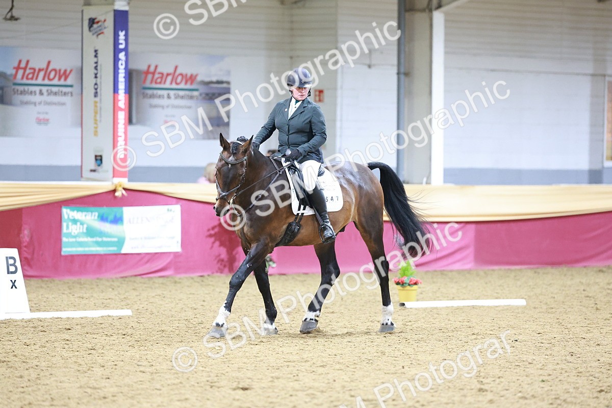 SBM_09810 - Class 61 - Dressage to Music