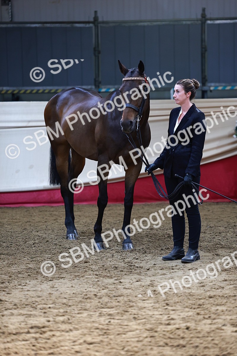 SBM_22383 - Class 902 - Supreme Final - IH Diamond