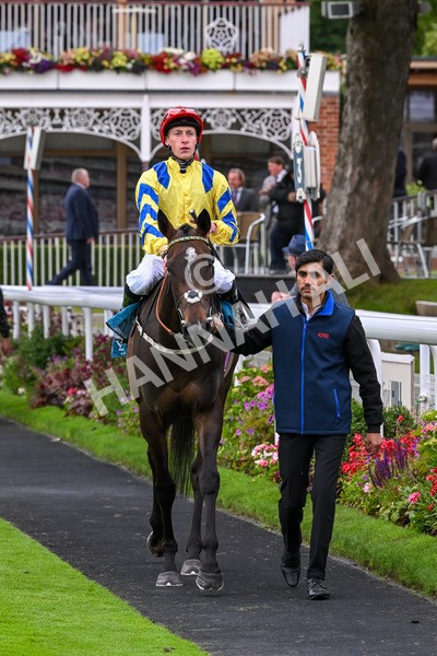 120724-Race 4-Karmology-6181 - Race 4 3.50pm Azets Handicap