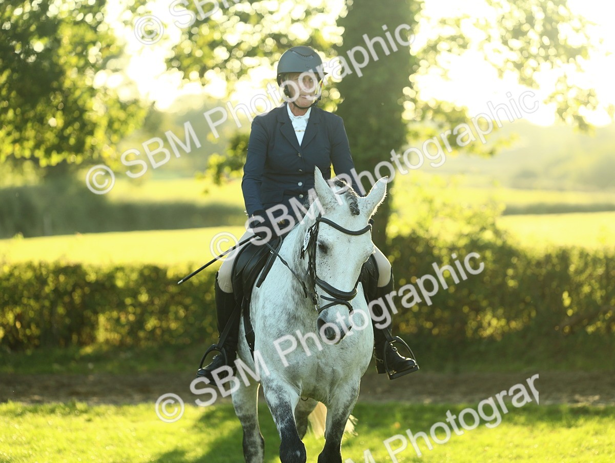 SBM_55602 - S14 - Riding Club Horse
