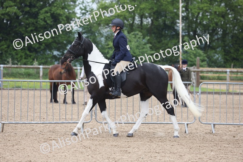 20260504-1038 - Class 14 - Cob and Hunter