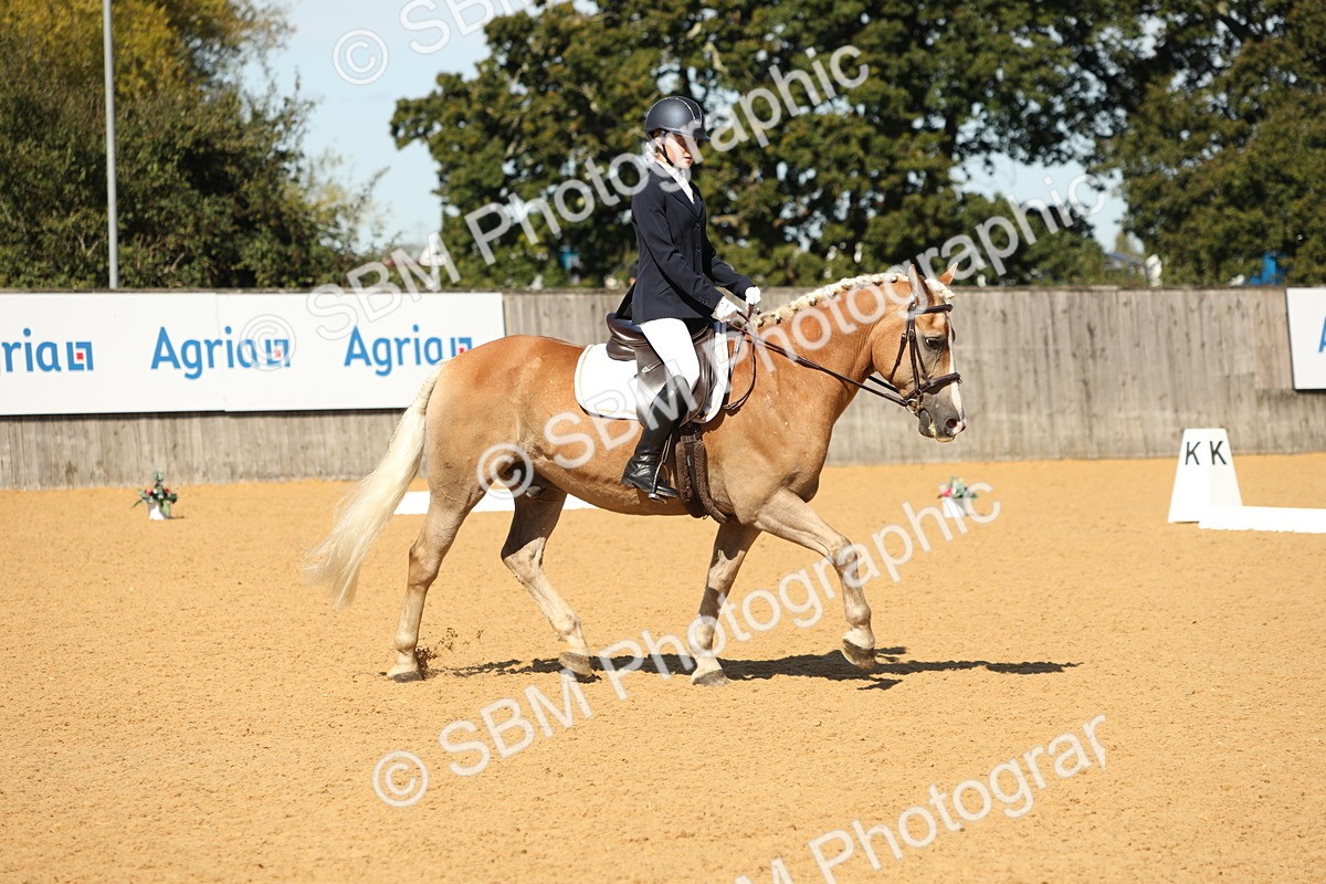 SBM_19737 - D10 - Small Tour Championship - Prelim 2