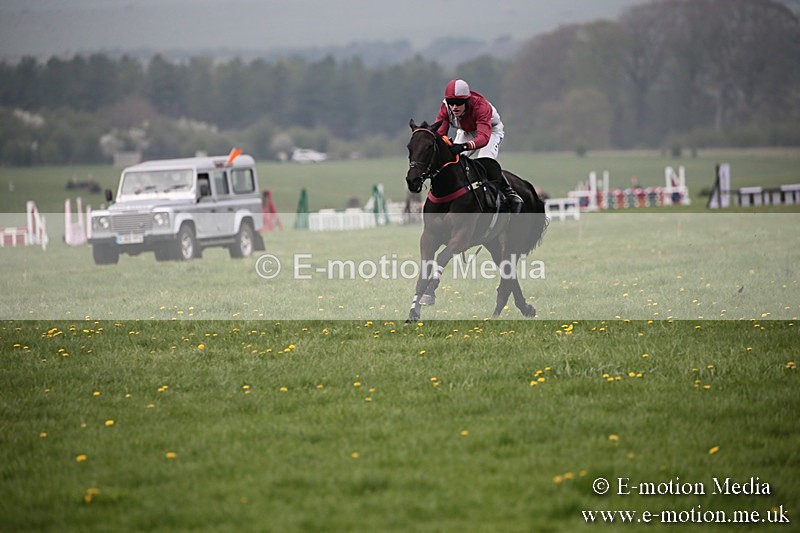 PtP 210418 95 - South & West Wilts Point-to-Point Larkhill 21/04/18