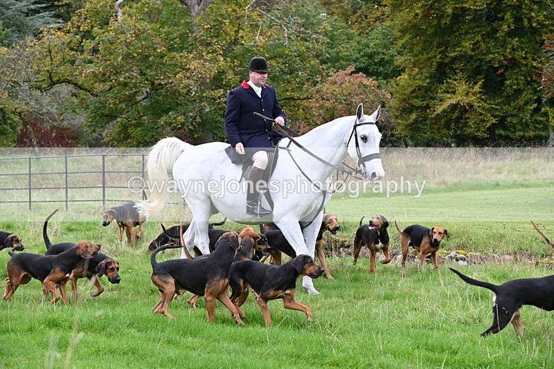 WJ6_0081 - Camera 2 Meet