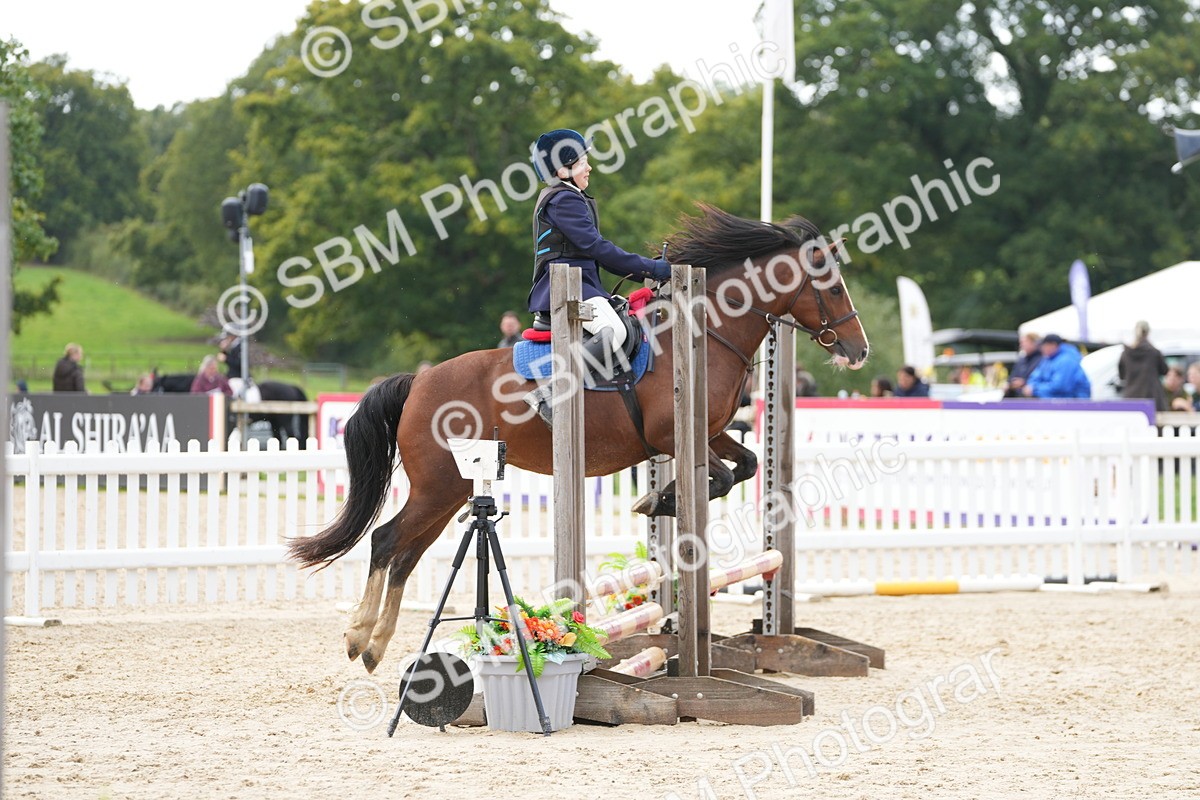 SBM_40063 - J6 - Junior Pony 55cm Championship