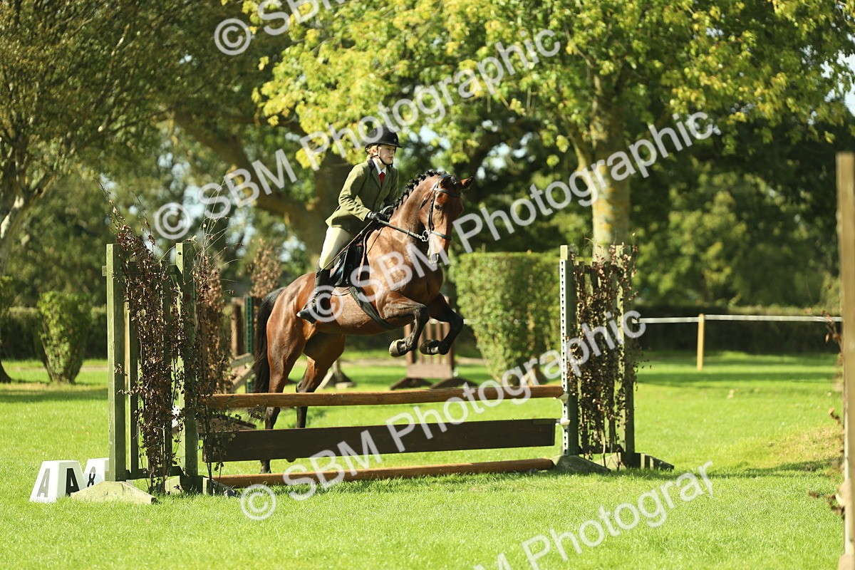 SBM_48095 - S32 - Novice & Newcomers Working Hunter