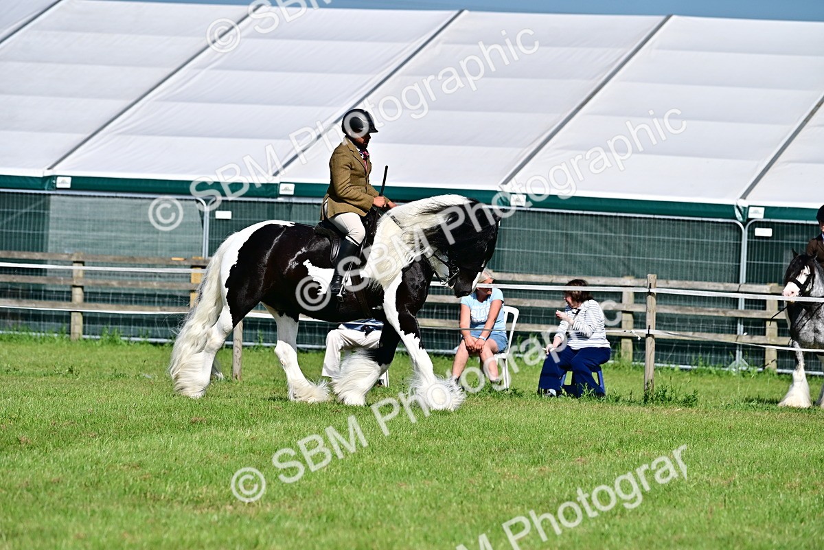 SBM_12179