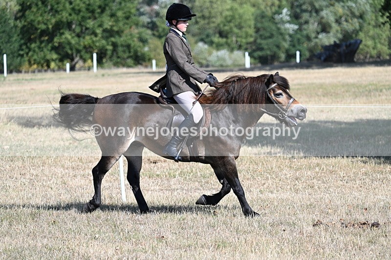 WJ7_3485 - Class 9 Mountain & Moorland Ridden
