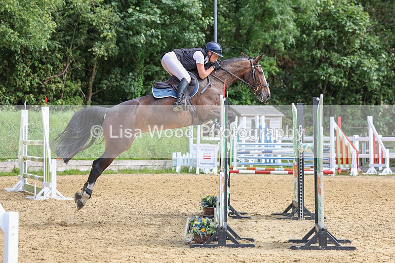 3E7A7605 - Class 9: Senior Foxhunter/1.20 open