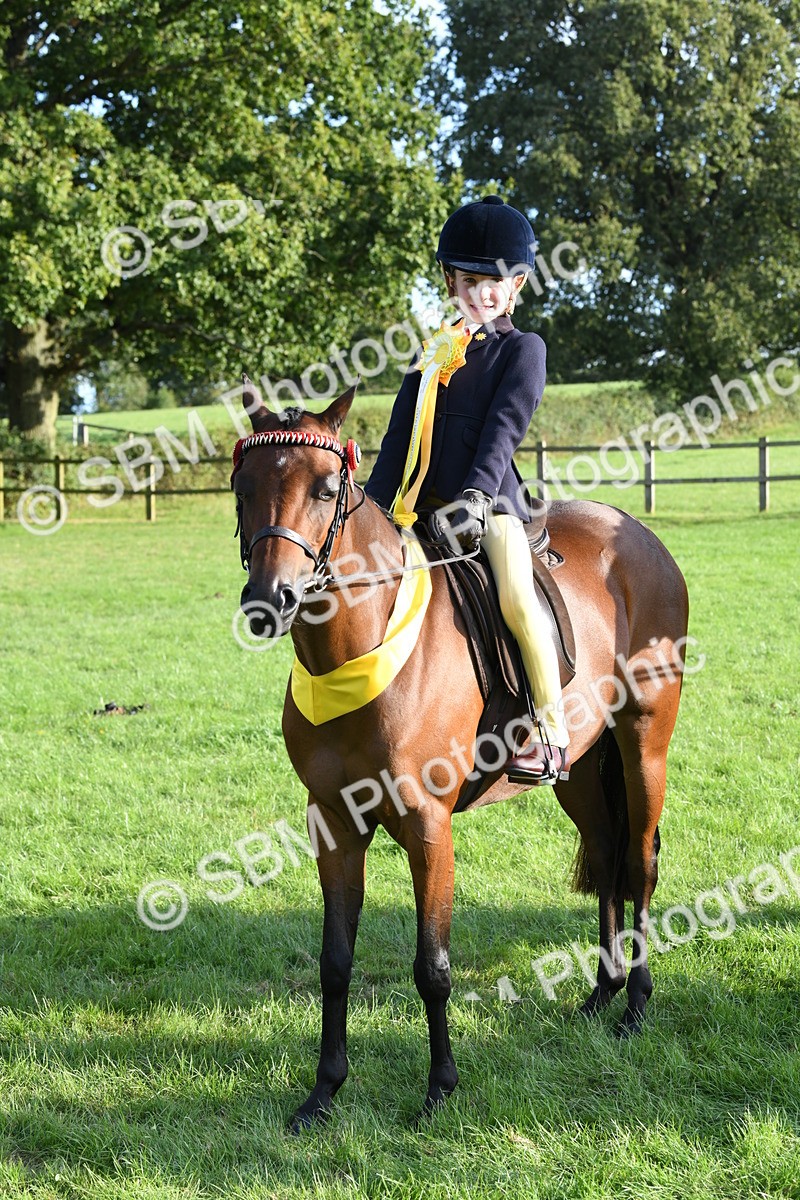 SBM_52441 - S22 - 1st Ridden Show & Show Hunter Pony
