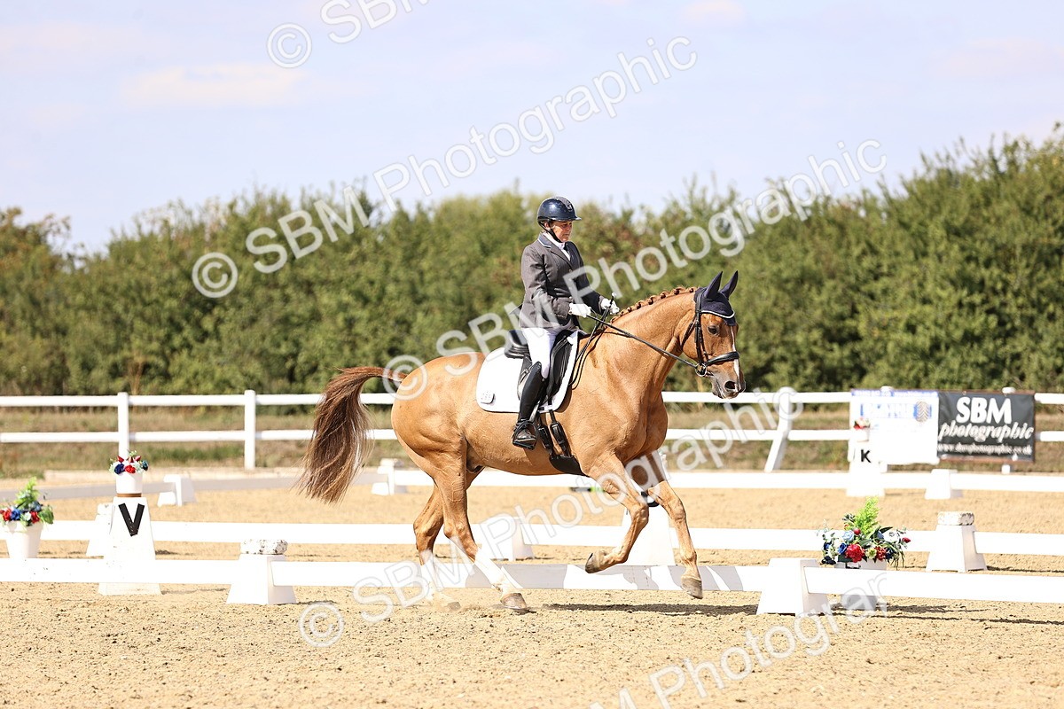 SBM_015087 - Class 6 - Elementary 5