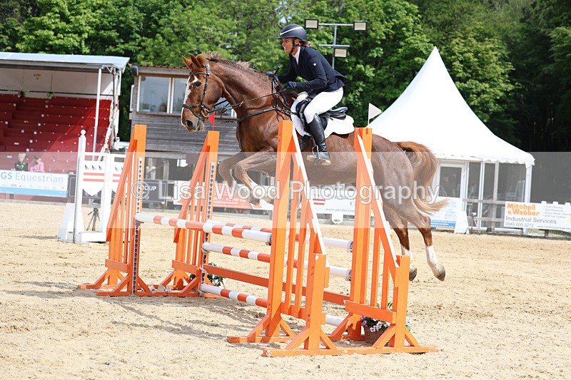 3E7A8786 - Class 4: Senior British Novice/90cm open