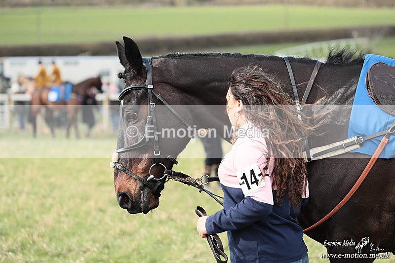 PtP 280226 199 - Kimblewick PtP Kingston Blount 28/02/26