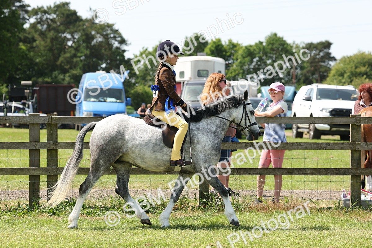 SBM_05375 - Class 24-25 - Mountain & Moorland In Hand Lead Rein and First Ridden