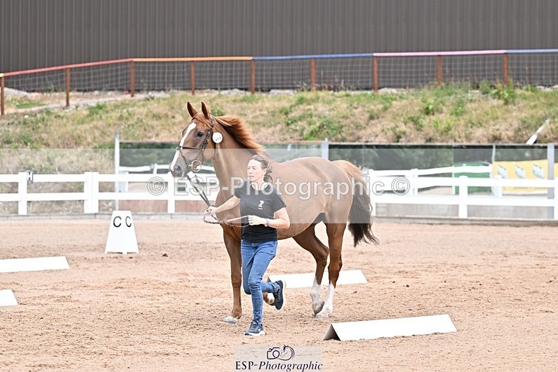 250716-134934-00679 - Trot Up 1.30 to 2.30